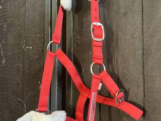 Kawecan full QHP