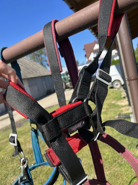 Kantar dla źrebiąt ManMat Stable Foal czerwony shetty