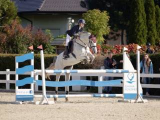 Przyjmę kuce w trening 125/150 cm
