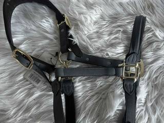 Nowy kantar Kentucky Anatomic Suede Halter, Grey / Full