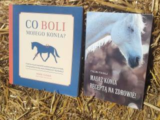 Co boli mojego konia, masaż konia receptą na zdrowie!