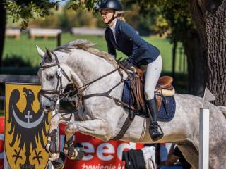 Trening koni Wałbrzych woj. dolnośląskie