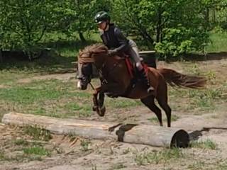 Przyszłościowy turbokucyk z potencjałem