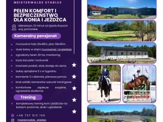 pensjonat dla koni Meisterwalde Stables, 10 min od obwodnicy (Pruszcz, Gdańsk, Tczew, Straszyn)