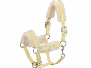 Kantar eskadron pony sunflower