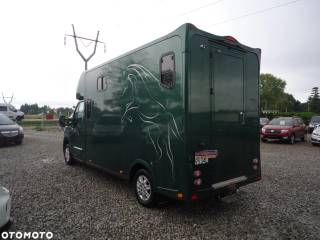 Koniowóz Renault Master 5 osobowy z zabudową Prentki