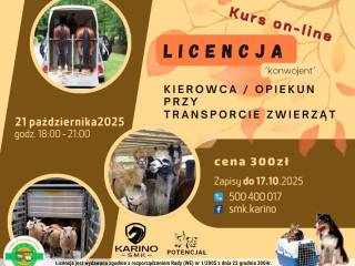 Licencja
