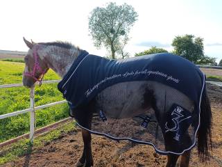 derka HV POLO