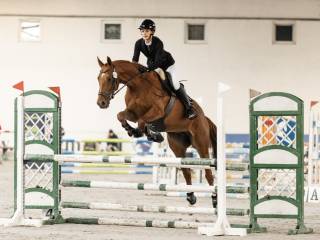 Cudowna 8 letnia klacz ok. 165cm