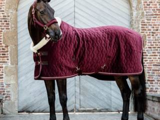 Derka Kentucky Velvet show rug 160g, 140 cm