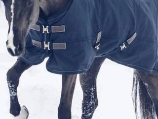 Derka Kentucky all weather pro 300g, 125 cm