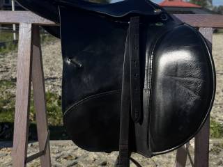 Prestige Appalosa