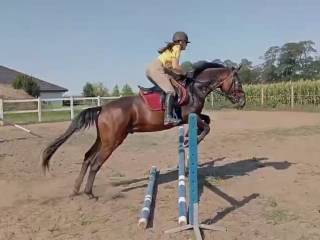 Przyszłościowy wałach