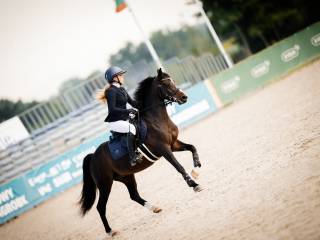 Top Pony gr.C