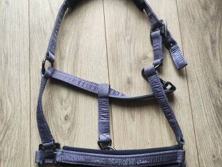 Kantar Eskadron Platinum Full