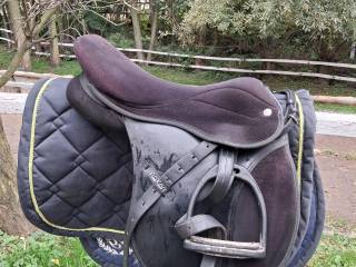 Thorowgood Pony 15 cali