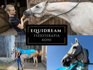EquiDream - Fizjoterapia i rehabilitacja koni
