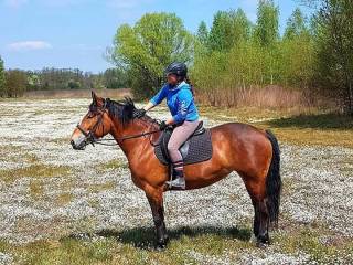 Bomboodporna klacz