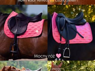 Czaprak ps of sweden skokowy ujezdzeniowy full cob