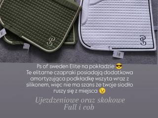 Czaprak ps of sweden skokowy ujezdzeniowy full cob