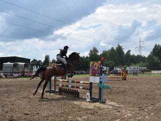 Rewelacyjna kucka D gr