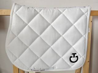 Czaprak cavalleria toscana pony skokowy vs biały