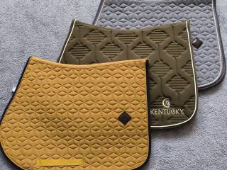 Czaprak Kentucky full skokowy vs