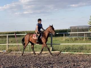 Wicardo Concure (po Quick Magic de Barcenal Z)