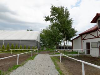 Kameralny pensjonat dla koni, 13 km od Leszna