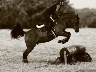 Szukam partnera do rozwoju!