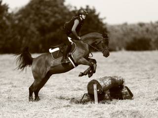 Szukam partnera do rozwoju!