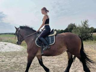 10 letnia klacz