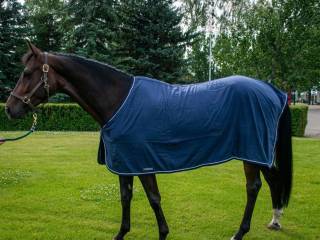 Derka Equiline osuszająca 155 cm