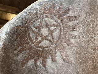 Golenie koni- Lubuskie