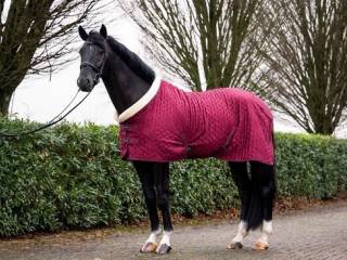 Derka Hb showtime velvetowa 135 cm bordowa