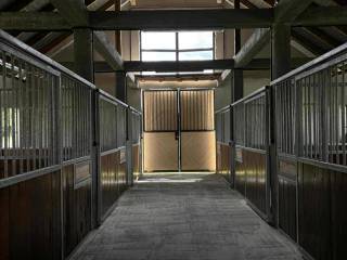 Nowo otwrta stajnia galopujące Marzenia