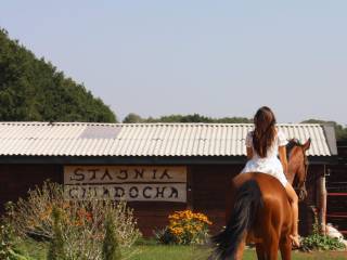 Pensjonat dla koni