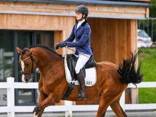 Trening, zajeżdzanie koni