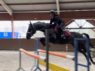 klacz sportowa