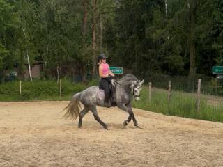 Poprowadzę treningi/przyjmę w pełny trening