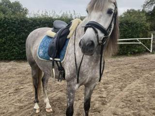 Bombo-odporna klacz dla dziecka!!