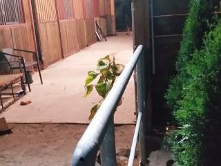 Pensjonat wolne boksy dla koni