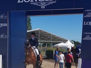 Hades — Wałach klasy CC w doskonałej formie sportowej dla zaawansowanych jeźdźców