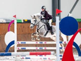 Kuc sportowy A2/C POLSKI KUC WIERZCHOWY