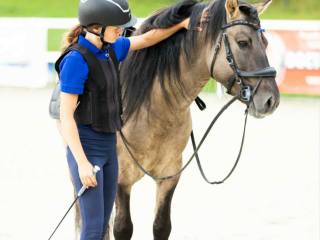 OGIER KRYJĄCY KONIK POLSKI LINIA LILIPUT