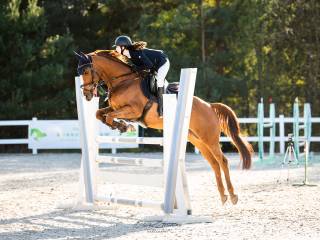 Bezpieczny wałach do sportu