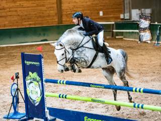 Przyjmę konie w trening/Trening jeźdźców /Pomoc w sprzedaży koni