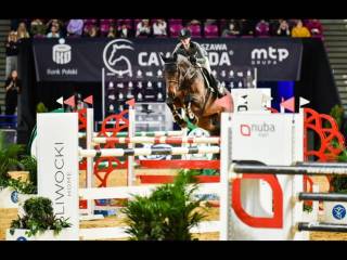 Doświadczony walach GP