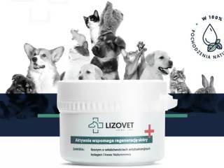 Lizovet – maść na rany dla każdego zwierzaka