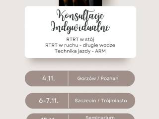 OneHorseLife - konsultacje indywidualne